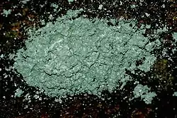 maleboskorst(Lecanactis abietina)