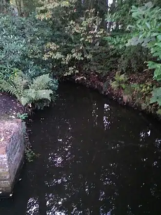 Leijloop bij Meersel-Dreef