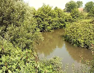 De Liane in Hesdigneul-lès-Boulogne