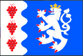 Vlag