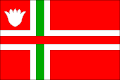 Vlag