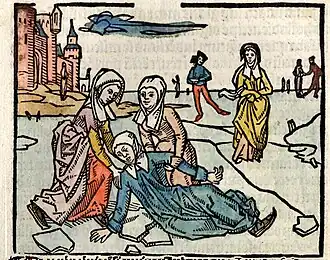 Lidwina's val in Johannes Brugman heiligenleven over Liduina