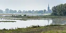 Zicht op de Liendense Waard, met haventje en Sint-Victorkerk van Batenburg op de achtergrondZicht op het plasdrasgebied in de Liendense Waard, zomer 2021