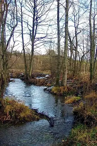 De Lienne bij Floret