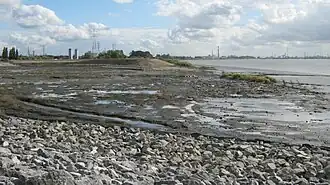 Lillo - Potpolder in september 2012, oostelijk compartiment