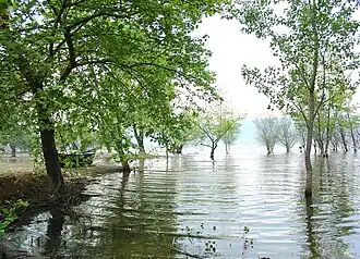 Volvi-meer, Nationaal park Koronia Volvi