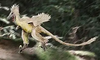 Linheraptor