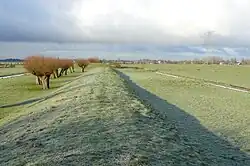 Liniewal Geindijk-Nigtevecht