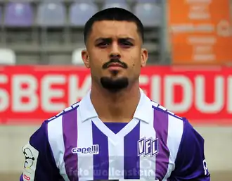 Lion Semić
