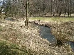 De Litavka ter hoogte van het dorp (2008)