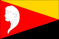Vlag