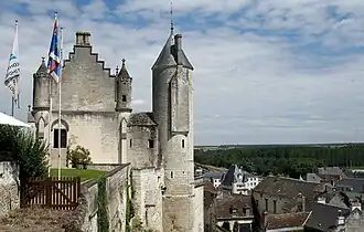 Uitzicht vanaf het kasteel van Loches