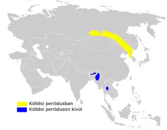 Pater Davids struikzanger