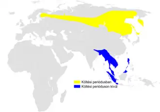 Kleine sprinkhaanzanger