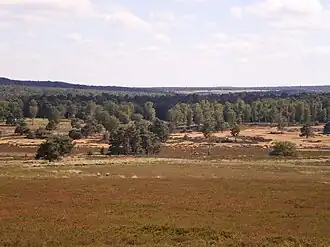 De Zilvensche heide