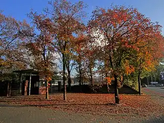 Heinz-Dettmer-Stadion