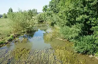De Loison te Quincy-Landzécourt kort voor de monding