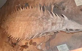 Longosuchus
