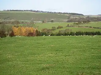 Omgeving van Stainton