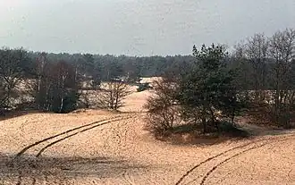 Nationaal park De Loonse en Drunense Duinen