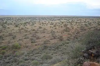 Slag bij Magersfontein