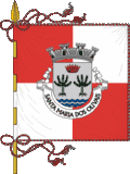 Vlag van Olivais