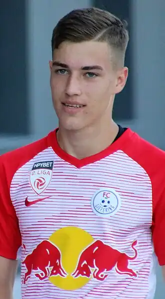 Luka Sučić