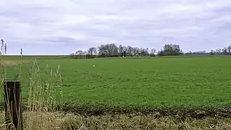 Lutjeburen vanaf Nansum gezien