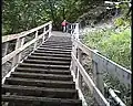 Trappen bij Møns Klint