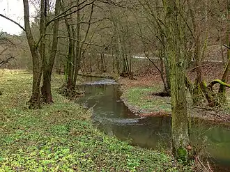 De Rakovnickýbeek, vlak bij het dorp