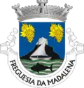 Vlag van Madalena