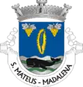 Vlag van São Mateus