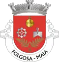 Vlag van Folgosa