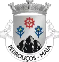 Vlag van Pedrouços
