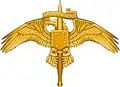 Embleem USMC SOC