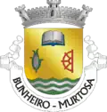 Vlag van Bunheiro