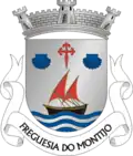 Vlag van Montijo