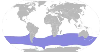 Noordelijke reuzenstormvogel