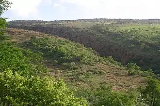Hamerkopkloof