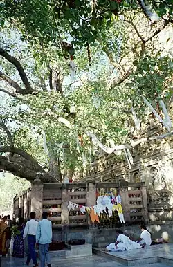 Mahabodhi in Bodhgaya