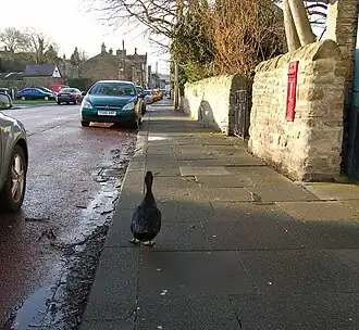 Hoofdstraat van Haydon