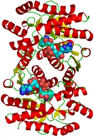 Malaatdehydrogenase