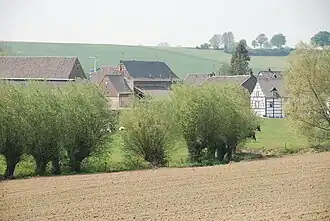 Mamelis aan de Selzerbeek