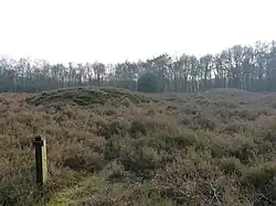 Grafheuvels nabij Mander