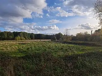 Vallei van de Mangelbeek