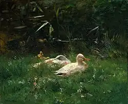 Eenden, ca. 1880-1904