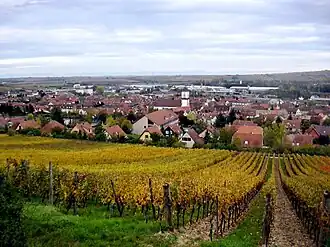 Gezicht op Marlenheim