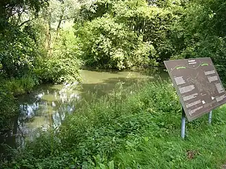 Moerasgebied Hooglandsedijk