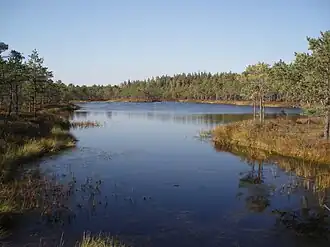 Het Meenikunno-hoogveen