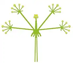 meertakkig bijscherm